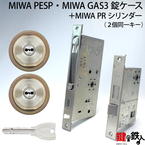 MIWA PESP GAS3