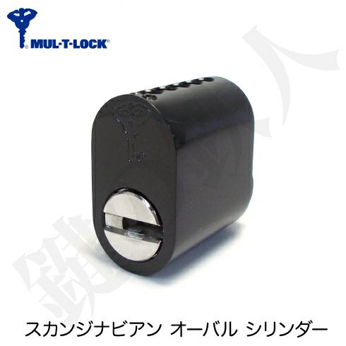 ASSA(アッサ) ABLOY(アブロイ) スカンジナビアタイプの 輸入住宅